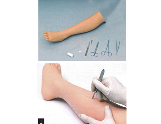 外科缝合腿模型