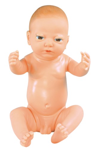 出生婴儿模型（男/女）